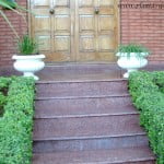 entrada con seto de Buxus sempervirens