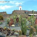 Jardín de Cactus de Lanzarote