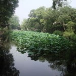 Jardin del administrador humilde. Foto: Wikipedia