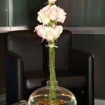 Rosas rosas con piedras en la base