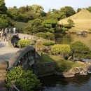Jardines Orientales-Japón
