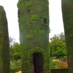 Arte topiario-Cupressus sempervirens en los Reales Jardines del Alcázar de los Reyes Católicos en Córdoba.