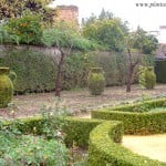 Arte topiario en los Jardines Reales del Alcázar de los Reyes Católicos en Córdoba-Andalucía