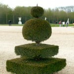 Arte topiario en los jardines de Versalles.