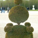 Arte topiario en los jardines de Versalles.