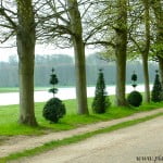 Arte topiario al borde del lago artificial en los jardines de Versalles.