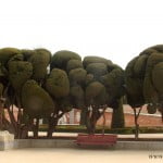 Arte topiario-El Jardín del Parterre en el Parque del Buen Retiro.