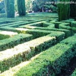 laberinto de Buxus recortados en los Jardines de Sabatini-Madrid.
