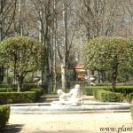 los ejemplares podados, a los costados de la fuente, la enmarcan y dirigen la mirada hacia ella.