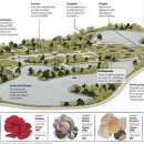 El Rosedal de Palermo declarado Patrimonio Cultural de la Ciudad de Buenos Aires