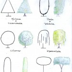las formas de los árboles