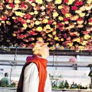 La fiesta anual de los floricultores: mucho color y buenos precios