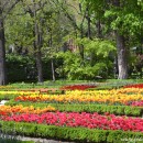 El Paraíso de la Jardinería “Eden Proyect”