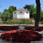 macizos florales de Begonia semperflorens en el Casino de Baile de el Jardín "El Capricho" en Madrid