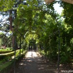 camino bajo una pérgola con enredadera al lado de la fuente de los Delfines en el Jardín de El Capricho. camino bajo una pérgola con enredadera al lado de la fuente de los Delfines en el Jardín de El Capricho.