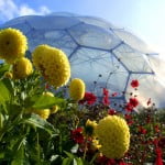 Biomo al aire libre. Miles de diferentes plantas cultivadas. Foto: edenproyect.com