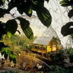 Biomo tropical una cabaña malaya, pequeña parcela completa de vegetales + arrozal