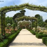 el Rosedal, en primavera, del Parque del Buen Retiro-Madrid.