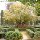Las Diferentes Estaciones del año en el Jardín