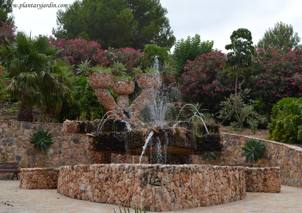 Font Salva en el Jardí Botànic Cactus D'Algar