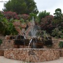 Cactus D’Algar, Jardí Botànic