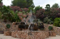 Cactus D’Algar – Jardí Botànic