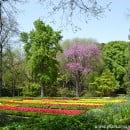 El Jardín en la Primavera…