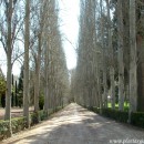 El Jardín en el Invierno….