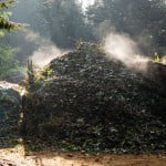 Compost. Foto: Wikipedia. Compost. Foto: Wikipedia.