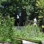 el huerto del Real Jardín Botánico de Madrid, en verano. el huerto del Real Jardín Botánico de Madrid, en verano.
