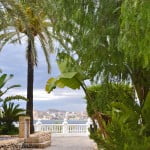 jardines junto al mar, Mussa, Schinus & Phoenix. jardines junto al mar, Mussa, Schinus & Phoenix.