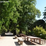 área reservada para la divulgación científica en el Real Jardín Botánico. copia área reservada para la divulgación científica en el Real Jardín Botánico.