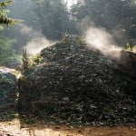 pila de compost, el cambio de Tº del día a la noche, produce vapor. Foto: Wikipedia.