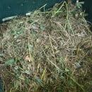 Prepara tu propio Compost, un fertilizante orgánico