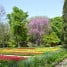 Top 10 de Plantas & Jardín, los posts más leídos del 2011