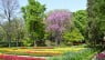 Top 10 de Plantas & Jardín, los posts más leídos del 2011