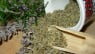 Hierbas provenzales, el Orégano