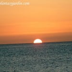 puesta del sol en el verano