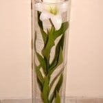 Lilium candidum en un florero tubo.
