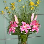 Lilium rosados perfumados.
