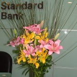 Liliums amarillos y rosas con Retama.