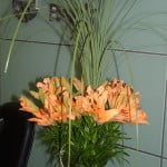 Liliums naranjas con Cortaderas.
