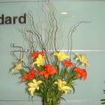 Liliums naranjas y amarillos con Sauce.