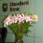 Liliums perfumados con varas de mimbre.