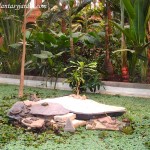 Jardín tropical de la estación de Atocha