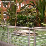 Jardín de invierno de la estación de Atocha