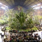 Jardín tropical de Atocha. Foto: Wikipedia