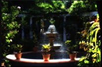 Parques y Jardines en Puerto de la Cruz, Tenerife