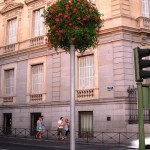 plantas de estación que decoran las calles madrileñas