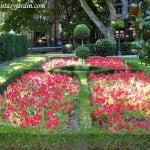 arte topiario en la calles de Madrid